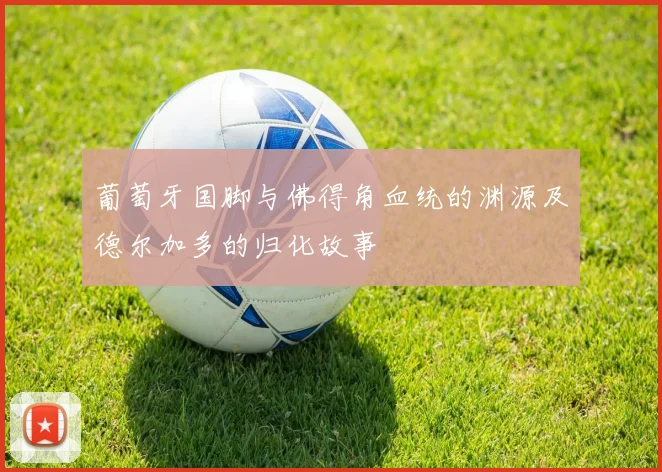 葡萄牙国脚与佛得角血统的渊源及德尔加多的归化故事