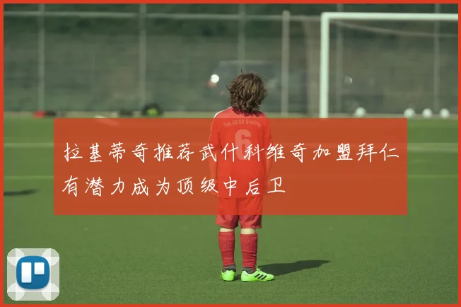 拉基蒂奇推荐武什科维奇加盟拜仁有潜力成为顶级中后卫