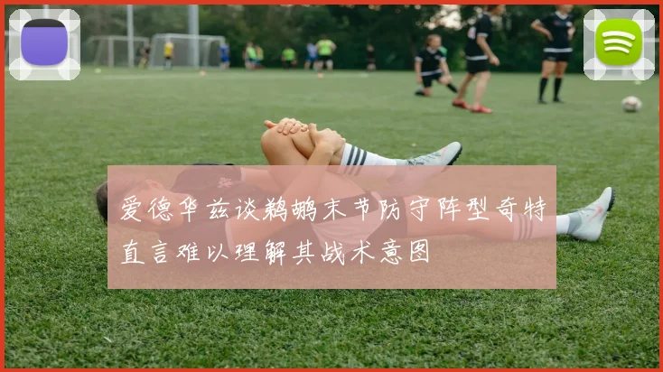 爱德华兹谈鹈鹕末节防守阵型奇特直言难以理解其战术意图