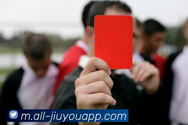 九游体育APP 封面图